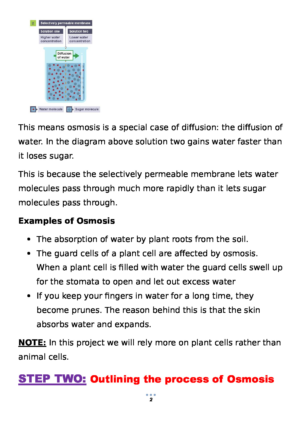 grade-8-integrated-science-project-2024-teacher-step-by-step-guide